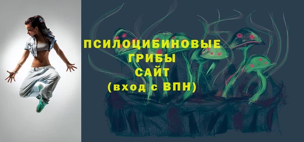 молекула духа Алексеевка