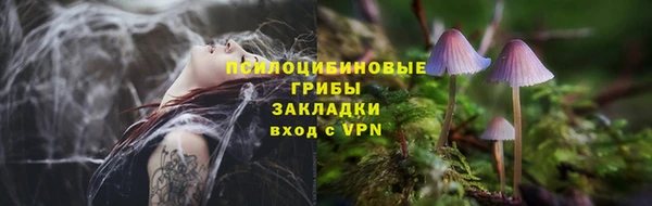 не бодяженный Алзамай