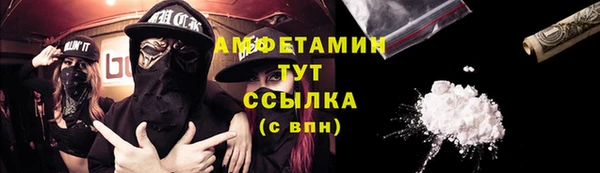 молекула духа Алексеевка