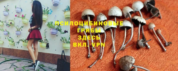 не бодяженный Алзамай