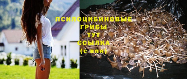 молекула духа Алексеевка