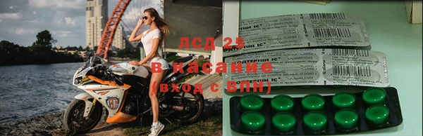 не бодяженный Алзамай