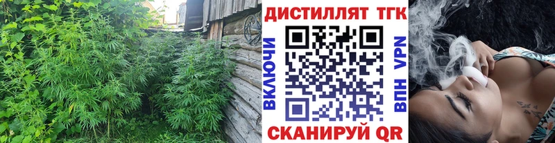 Дистиллят ТГК гашишное масло  Игарка 